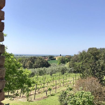 毕博纳Agriturismo La Leccia别墅 外观 照片