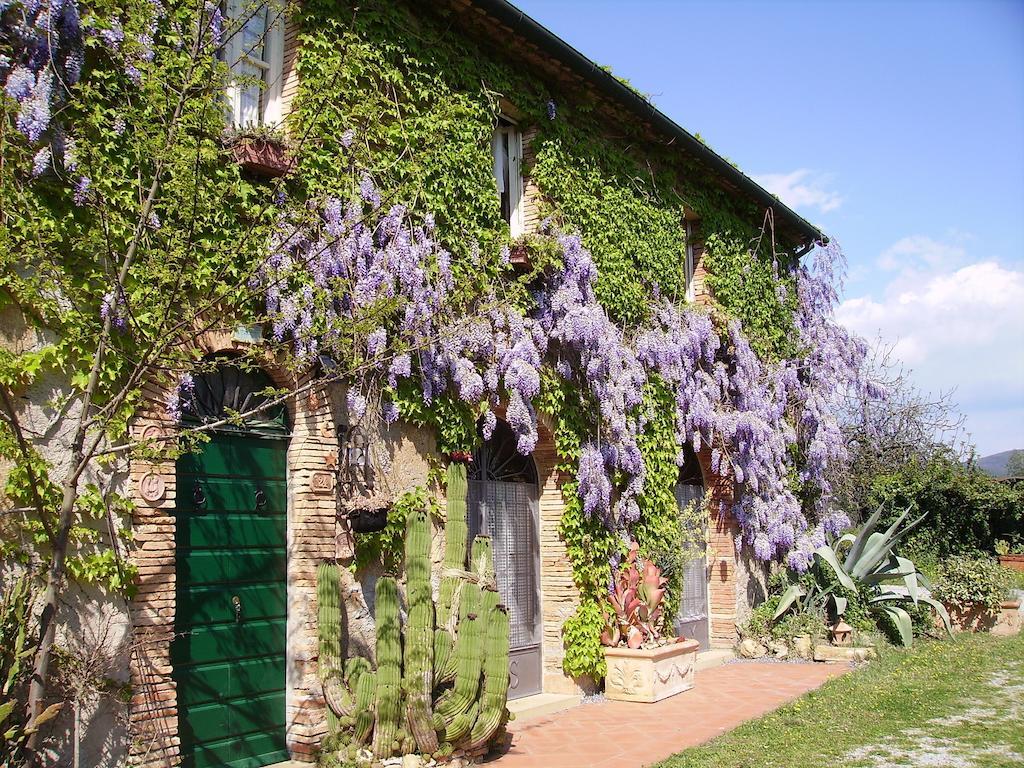 毕博纳Agriturismo La Leccia别墅 外观 照片